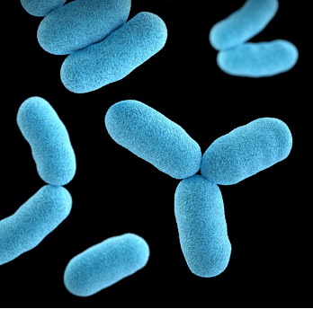 bactéries bleues