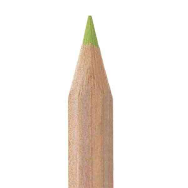 [ECB030] Crayon de couleur - VERT CLAIR - 18cm - 100% bois naturel FSC