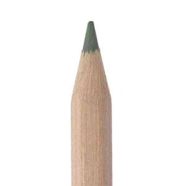 [ECB031] Crayon de couleur - VERT FONCE - 18cm - 100% bois naturel FSC