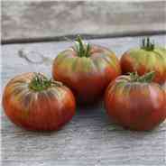 [FSM178] Semences : tomate / noire de Crimée