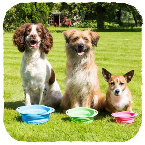 Foldable bowl for dogs