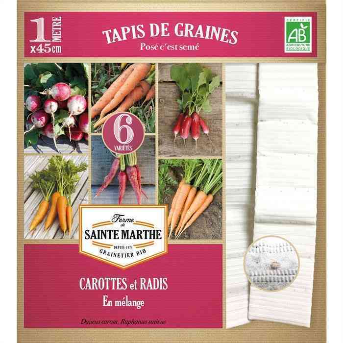 [FSM286] Semences : tapis de graines carottes et radis