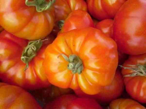 [CYT024] Tomate Triomphe de Liège à semer jusque Mars 0,2 g
