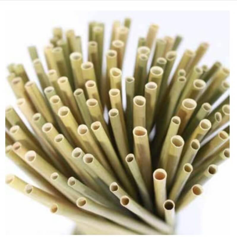 [OST001] Single-used biodegradable vegetable straws 20cm X25