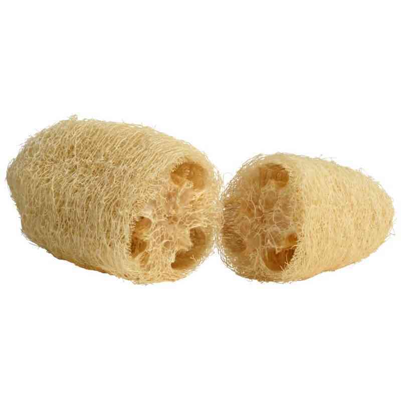 [AMO001] Whole medium loofah (natural sponge)