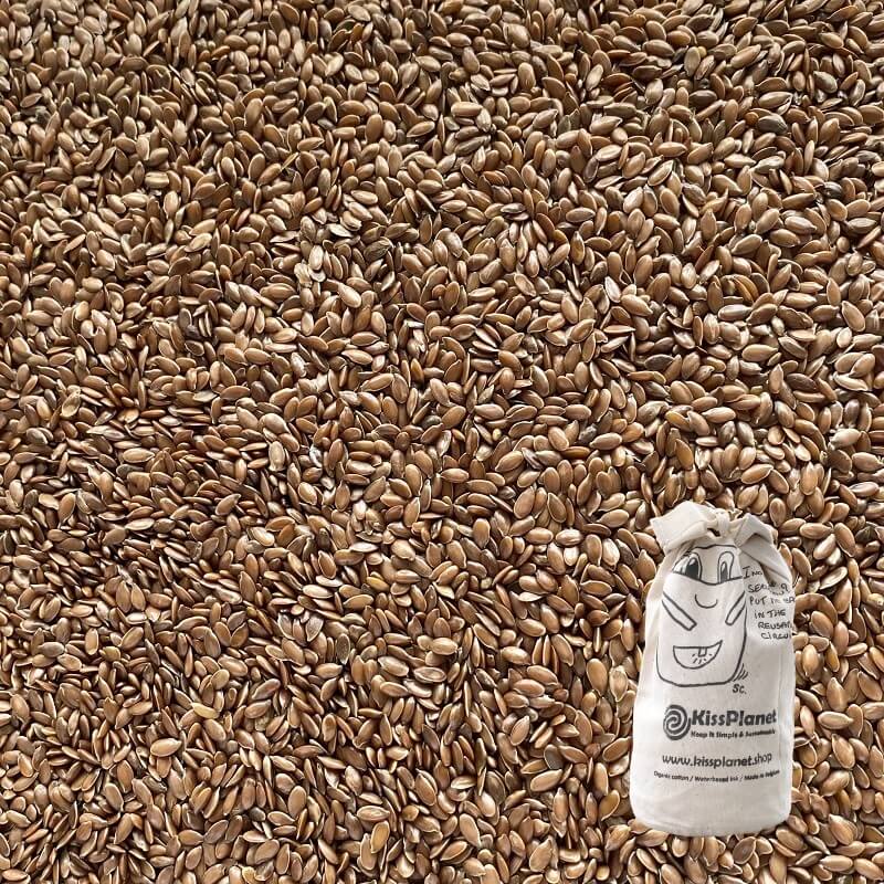 Graines de lin brun bio 250 g (sac complet: 1 kg) - VRAC